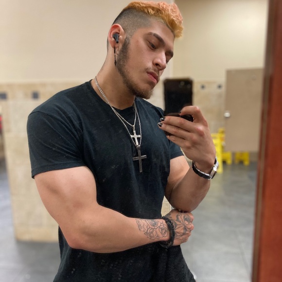 Meet your Posher Jay 🌟🦉 - Picture 1 of 5